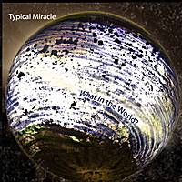 Typical Miracle : What in the World